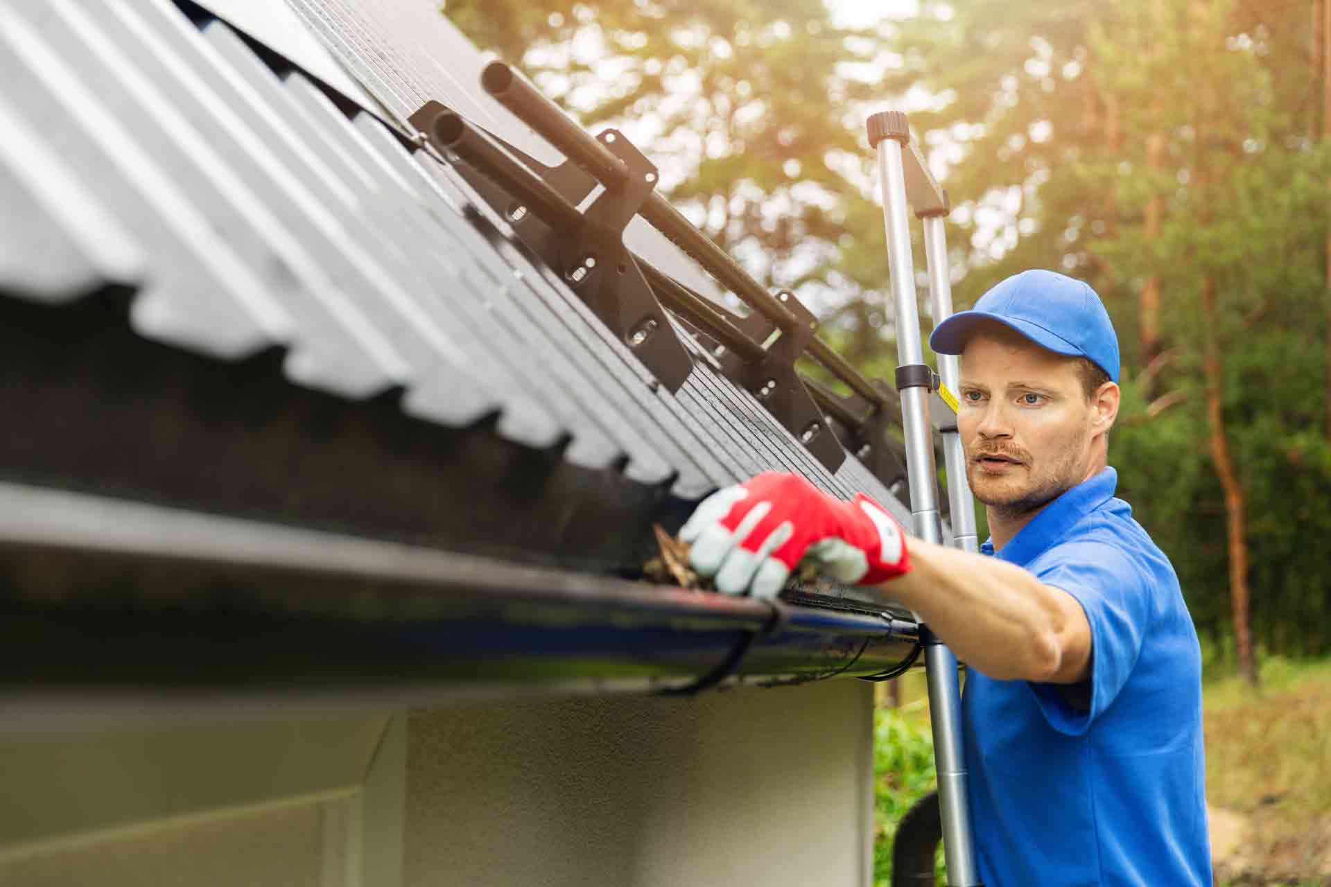 Electrical and property maintenance work